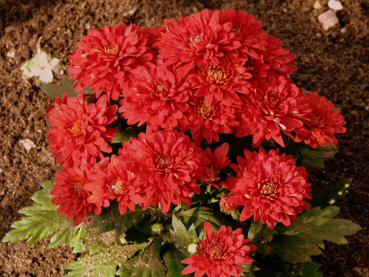 430197 (a): :1600x1200